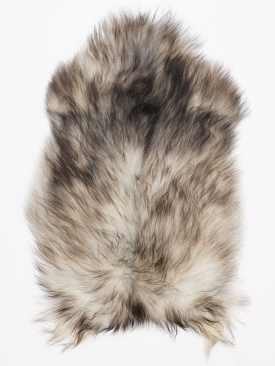 Islannin lampaantalja L