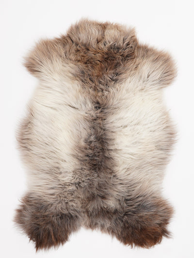 Monivärinen lampaantalja L