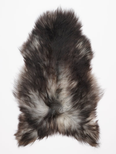 Harmaa islannin lampaantalja L