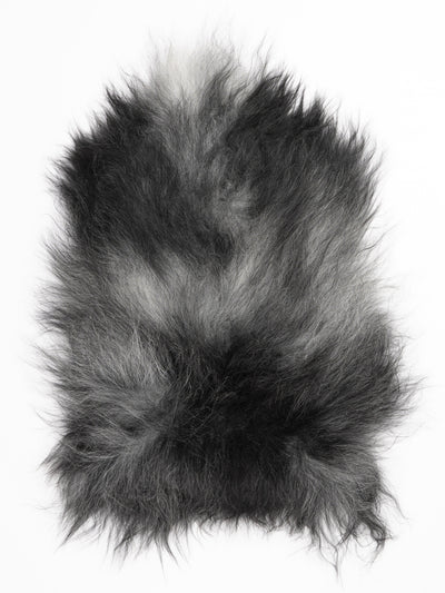 Harmaa islannin lampaantalja M