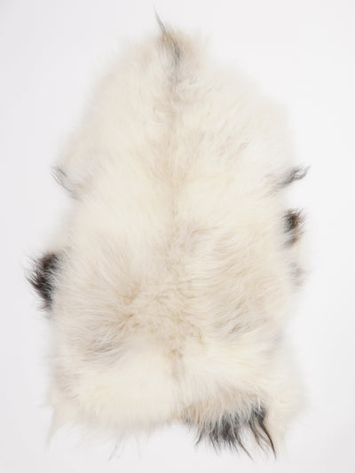 Islannin lampaantalja XL