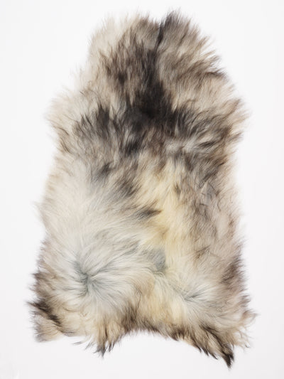 Harmaa islannin lampaantalja XXXL