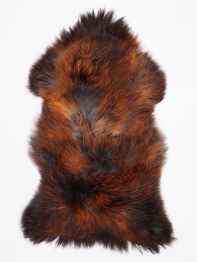 Islannin lampaantalja "Lava" XL
