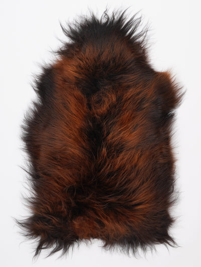 Islannin lampaantalja M