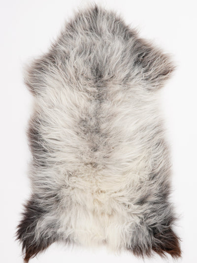 Monivärinen lampaantalja XL