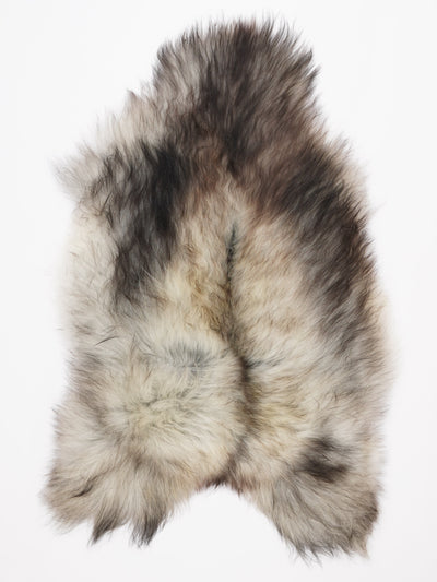 Harmaa islannin lampaantalja XL