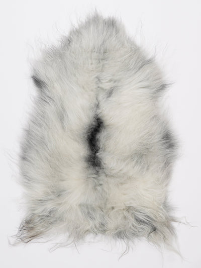 Islannin lampaantalja M