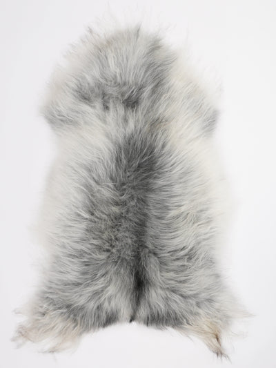 Harmaa islannin lampaantalja XL