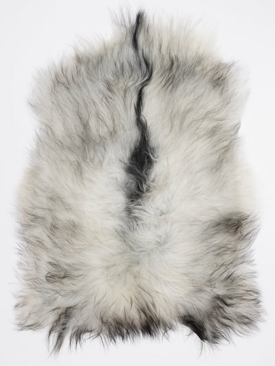 Islandiškas avikailis M
