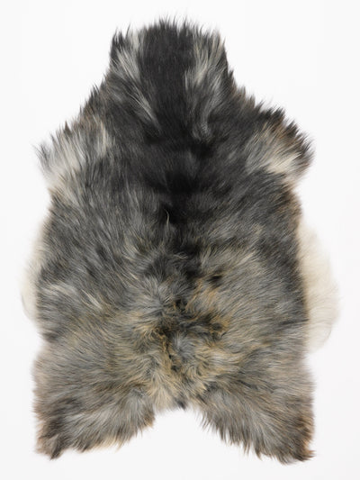 Islannin lampaantalja L