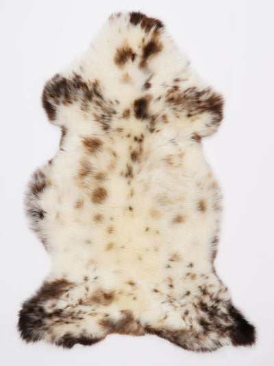 Monivärinen lampaantalja L