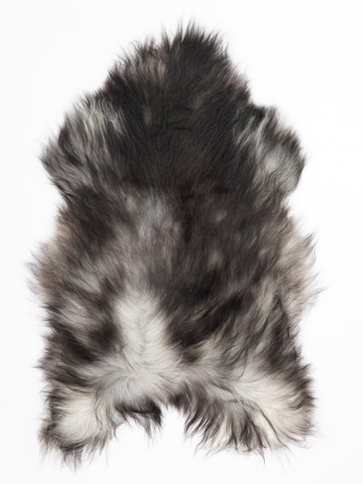 Harmaa islannin lampaantalja XL