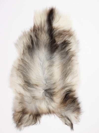 Harmaa islannin lampaantalja XL