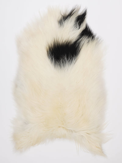 Islannin lampaantalja L