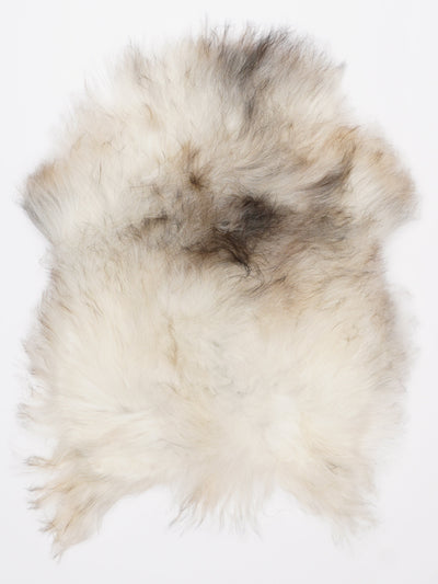 Islannin lampaantalja S