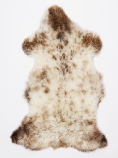 Monivärinen lampaantalja L