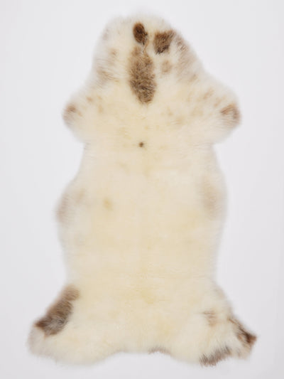 Monivärinen lampaantalja L