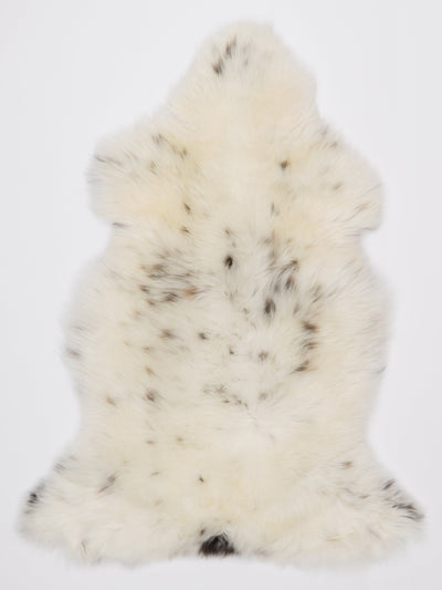 Monivärinen lampaantalja L