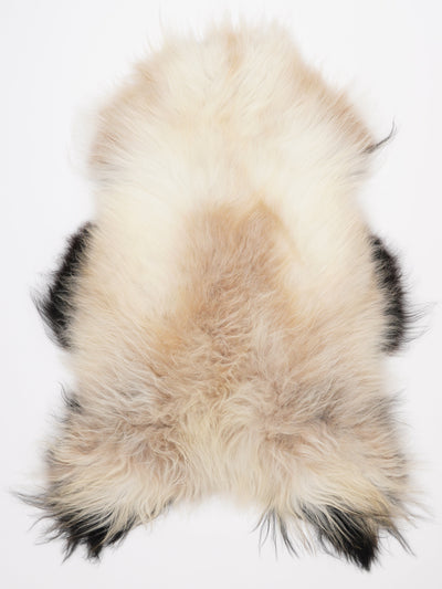 Islannin lampaantalja XL