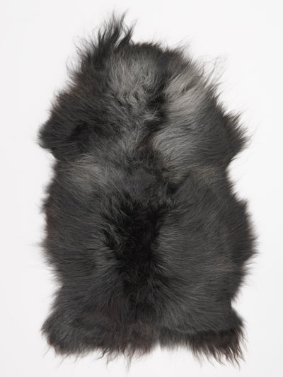 Islannin lampaantalja XL