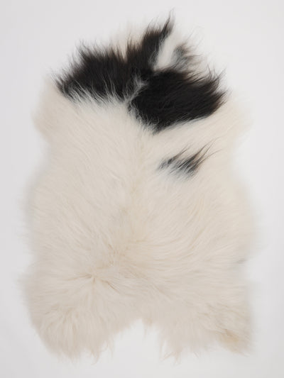 Islannin lampaantalja XL