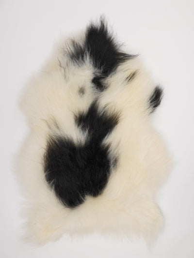 Islannin lampaantalja XL