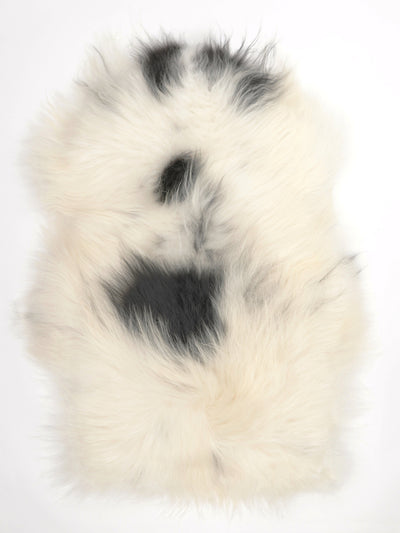 Islannin lampaantalja XL