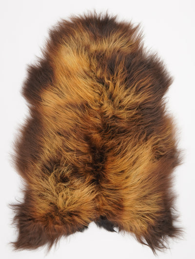 Islannin lampaantalja "Lava" XL