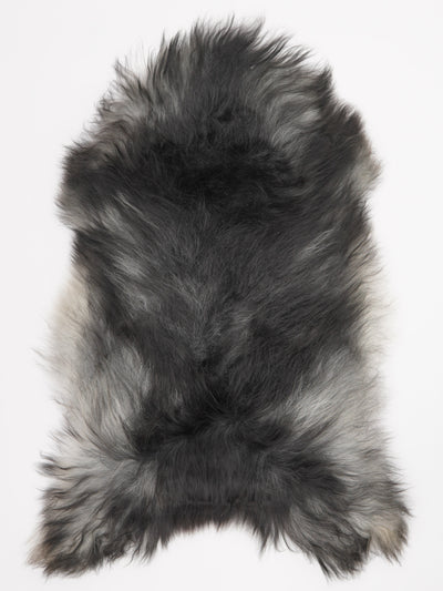 Harmaa islannin lampaantalja XL