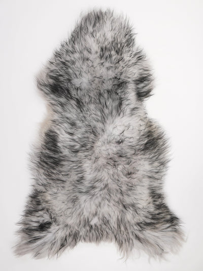 Muflonilampaantalja XXL