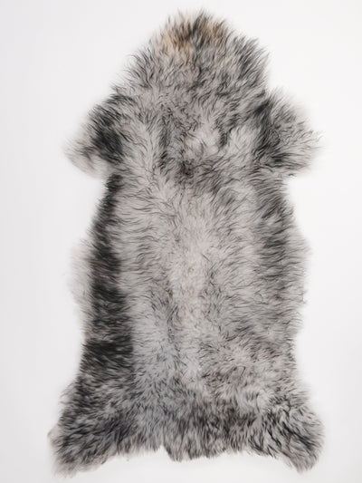 Muflonilampaantalja XXL