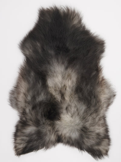 Harmaa islannin lampaantalja XL