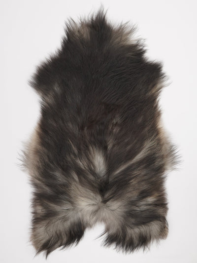 Harmaa islannin lampaantalja XL