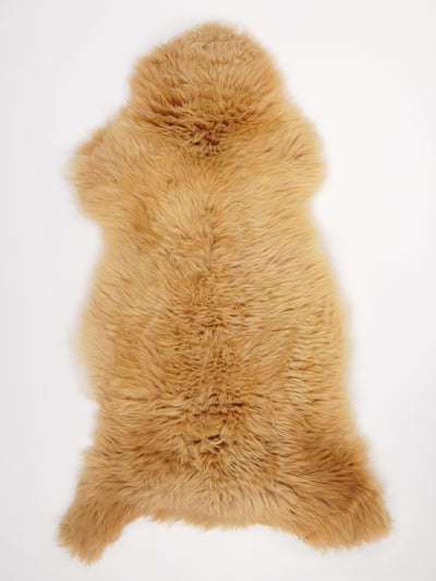 Monivärinen lampaantalja XXL