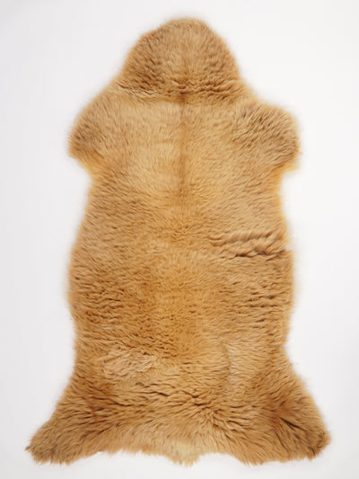 Monivärinen lampaantalja XXL