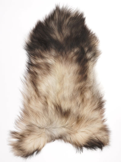 Islannin lampaantalja L