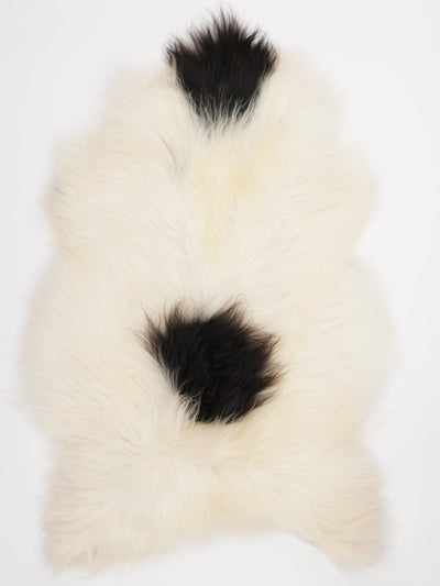 Islannin lampaantalja XXXL