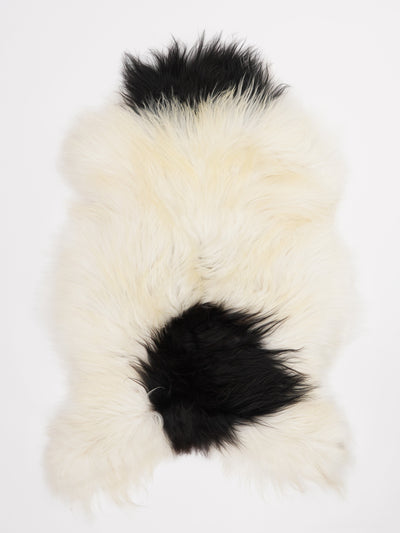 Islannin lampaantalja L