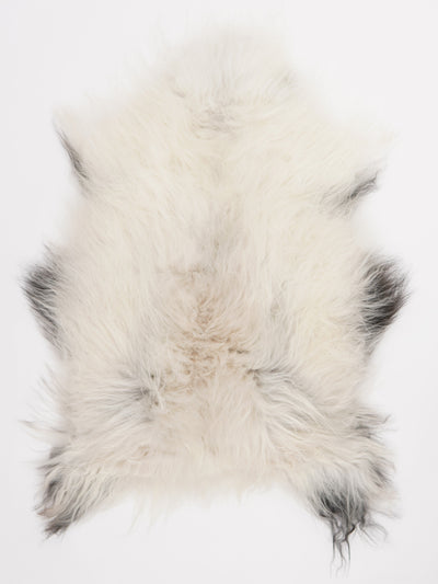 Islannin lampaantalja L