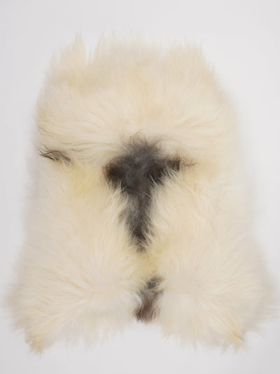 Islannin lampaantalja XL