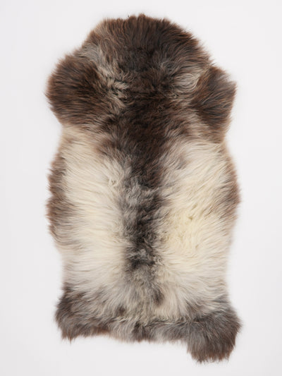 Monivärinen lampaantalja XL