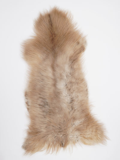 B-luokan monivärinen lampaantalja XXL