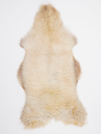 B-luokan monivärinen lampaantalja XXL