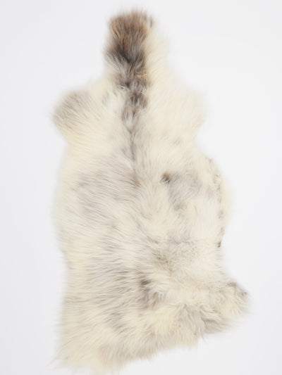 B-luokan monivärinen lampaantalja M