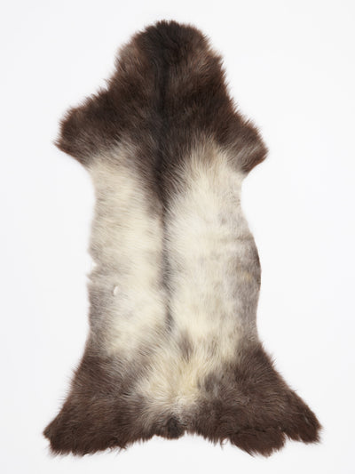 B-luokan monivärinen lampaantalja L