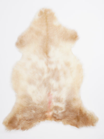 B-luokan monivärinen lampaantalja XL