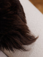 Tummanruskea lampaantalja