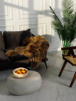 Islannin lampaantalja “Amber”