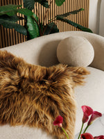 Islannin lampaantalja “Amber”