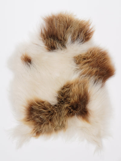 Islannin lampaantalja S